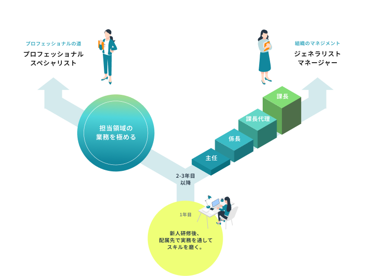 キャリアステップ図